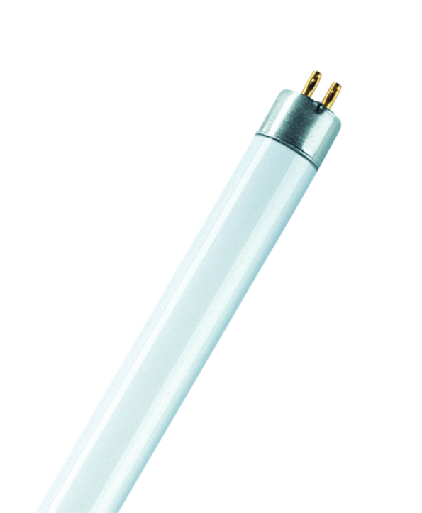 TL Lampen