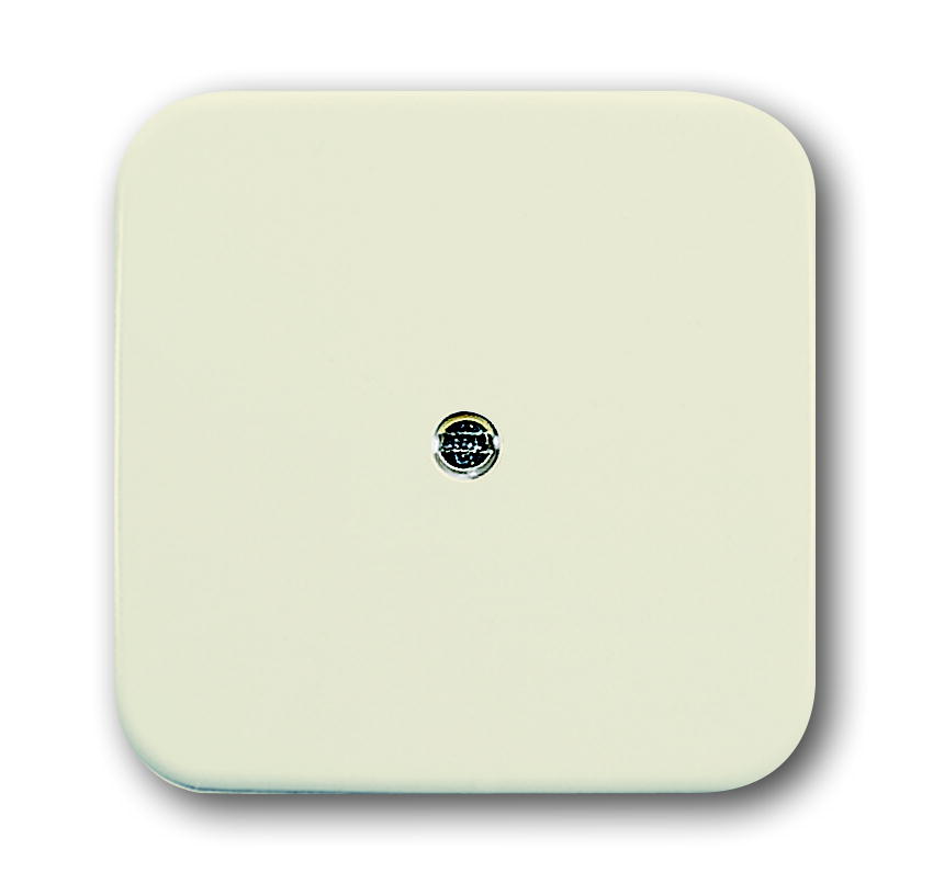 BJ 2536-212 creme snoeruitvoer plaat 2x ptt