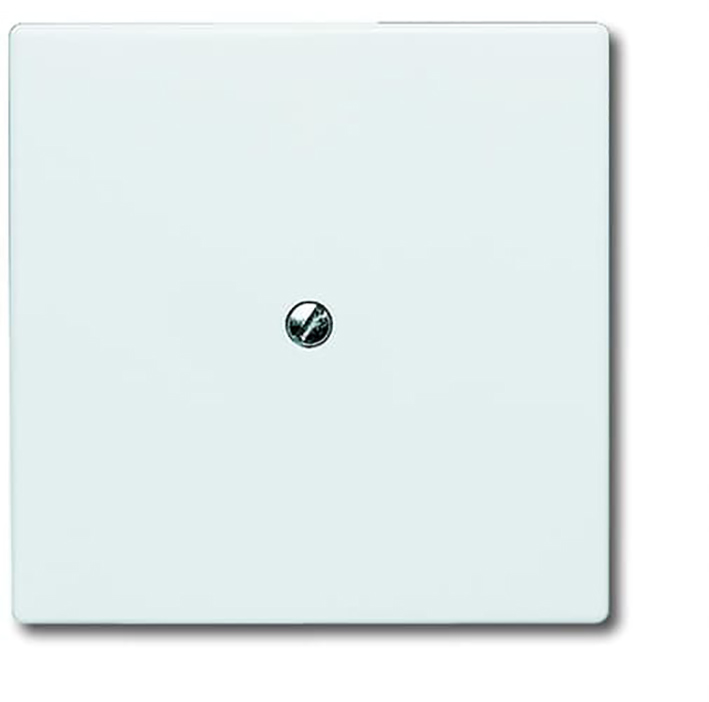 BJ 2138-32 Blindplaat IP44 Creme
