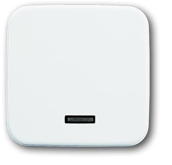 BJ 6543-214-102 toets voor tipdimmer+relaissokkels